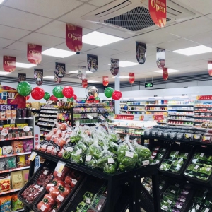 �����_ɭ������Ҳ�_ʼ�u����