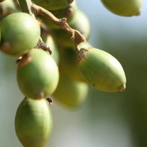 Ԫ�ƙ��ƻ𱬟��N �O��Ʒ�|(zh��)Ȧ���Ͽ���