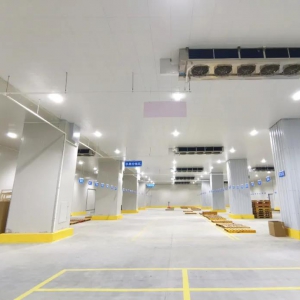 ����̈�(ch��ng)�������r���������_(k��i)�I(y��)��