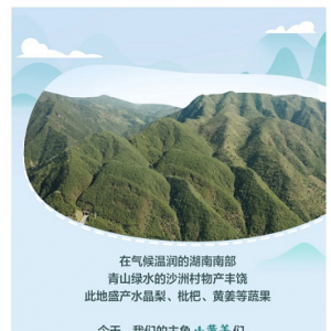 �����g���T����һ�K�S����Ρ������s����