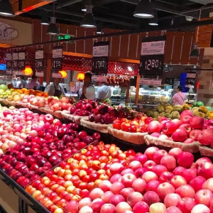 ����(ji��)�^��������@���{(di��o)������������