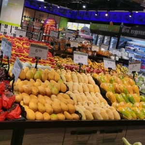 ���˶���ĵ�ʢ���_�I(y��)