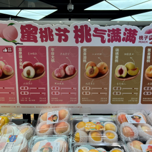 ���ӵġ�ܛӲ֮���������K�Y(ji��)��  ��������ܛ��Ӳ��ƽ�����ϼܺ��R