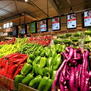 �ҼҐ������ڶ����T���_�I(y��)��7��21��ʢ���_�I(y��)