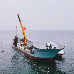 ���B���r�M�F(tu��n)�M(j��n)ȫ�����R�� �ľ�����N����Ʒ�ƻ���call