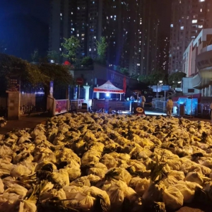 ������������ҹ����������70000+ӆ�α���Ĺ���