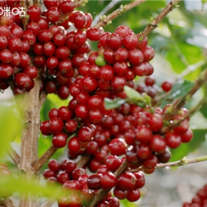 ���@��Ŀ������c��һ���乾�����_����ɽ�l(xi��ng)�����d·