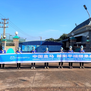 ��ȫ���I��ȫ���� Խ�������ں��R�N�����L50%