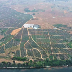 �N�o���ָ̳ɡ�Ӳ�����롱 �V�����R����r(n��ng)���뷭5��