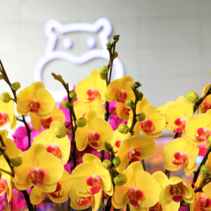 �A�ǻ�ɫ����ͬ���R�l(f��)����2023�������������а�