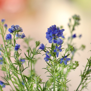 ���r����(j��ng)��(j��)�����m(x��)��ů ���R�����N�۝q50%