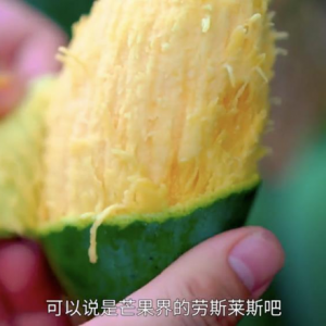 �A���f�ҡ����l(xi��ng)Ӌ������Ҋ�Cһ���������l(xi��ng)��ĵ�׃����