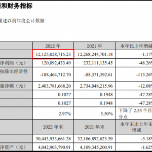 ���ɷ�2022��?du��)I��121.25�|Ԫ��������ͬ���½�48.26%