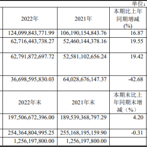 ���דƣ�2022������s347.41�|Ԫ��ͬ�Ȝp��15.5%