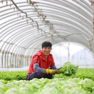 ���x�״ν��x��ꖹ⹩��(y��ng)朜�(zh��n)�t�����y�ֹ���(y��ng)�̌�(sh��)�F(xi��n)���r(ji��)ֵ������