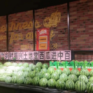 �аق}���������M(j��n)�r(n��ng)������ �����l(xi��ng)�����d