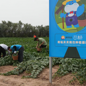 ���m����ɳĮ��N��ǧ���ЙCؐؐ�Ϲ� ���ں��Rȫ���T���װl(f��)