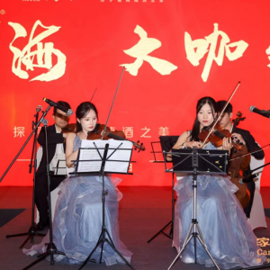 �A(y��)�������(gu��)�c�p��(ji��)��IP  é�_(t��i)���ѾƔy�ּҘ�(l��)���Ї�(gu��)�ڜ��e�kƷ�b��(hu��)