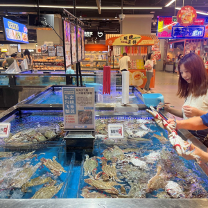 ƽ��ÿֻ��30% ��Plus�桱�|���wз�ں��R�ϼ�