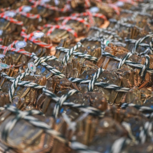 ���R��(j��)�ϵ�����p��(ji��)�_(k��i)�I(y��)��������ɏ�����a(ch��n)Ʒ���N