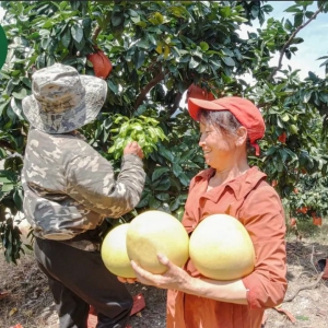 ���x��Ч��������Ʒ�ƹ���(y��ng)����Ƅ�(d��ng)�����x�r(n��ng)��(ch��ng)��ֱ�������N(xi��o)���~��ǧ�f(w��n)