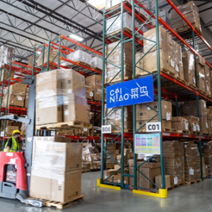 ���B�ĵױP������