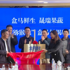 �ЙC(j��)�J���ҡ����R�塱��ʽ��،���