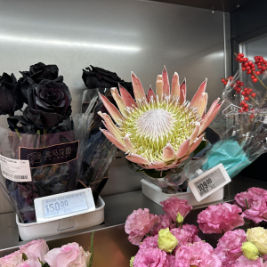 ������Ʒ�����װl(f��) ���^(gu��)50��ȫ�򹩑�(y��ng)�̠��ֺ��R