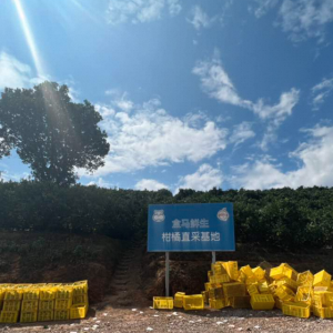 ���R��ֱ����(y��ng)��M(j��n)��ˮ���I(l��ng)�� �����ϱ��ǳȃr(ji��)�������ĳ�