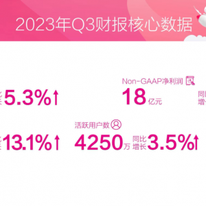 ΨƷ��(hu��)��������ؔ(c��i)��(b��o)�����I(y��ng)��228�|Ԫ��ͬ�����L(zh��ng)5.3%