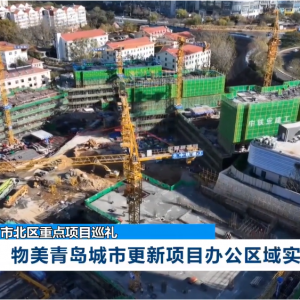 �������u���и����(xi��ng)Ŀ�����M(j��n)չ��Ӌ(j��)��2025�꿢��