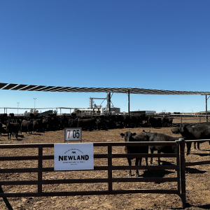 ���R����3������(ch��ng)���c������I(y��)���M(j��n)��ţ���_(d��)�ɑ�(zh��n)�Ժ���