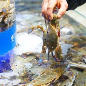 ���x���ОI�����ŵ��_�I(y��)��ȫ������(j��)�rʳ����(w��)