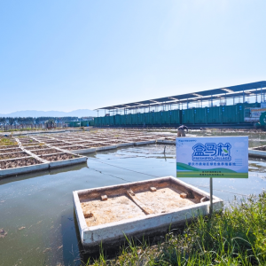 ȫ��(gu��)�ׂ�(g��)�Gɫ�~(y��)���R����Ƴ���