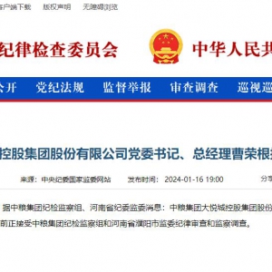 �󐂳ǿعɿ���(j��ng)���ܘs��������������(d��ng)Ͷ��