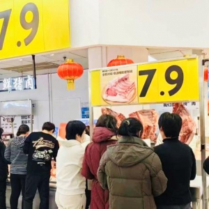 �֠���Ͷ�Y��5000�fԪ�������|ݸ13���T��