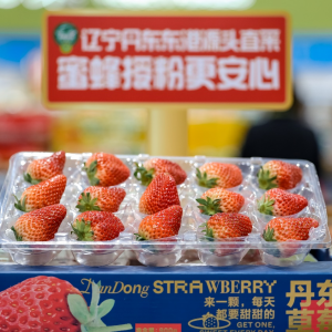 ��ϡ�ˮ�����I(l��ng)����(ji��)���M(f��i)���L�����x���аl(f��)�������´����M(f��i)څ��