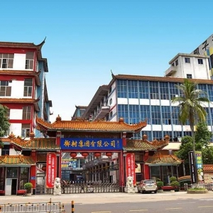 Ҭ�伯�F2023��ɿ��γ��t��ȫ���N�ۿ��~�_��50�|Ԫ