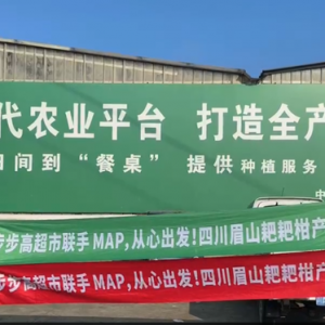 ����(li��n)�����������c�л��F(xi��n)���r(n��ng)�I(y��)�_�ɑ�(zh��n)�Ժ���