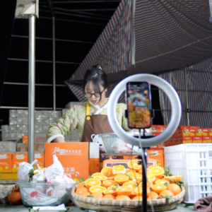 ƴ���2023��I��2476�|���аl(f��)Ͷ���B�m(x��)���ك|