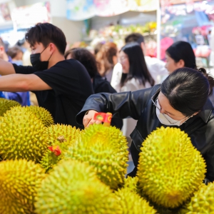 ���R�r�����C���_(k��i)�I(y��)�������Ϻ��_(k��i)�����׼��T��