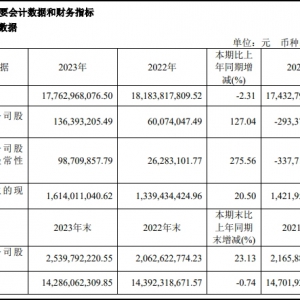 �ҼҐ�2023��ؔ(c��i)��(b��o)���I(y��ng)��177.63�|Ԫ��������(r��n)���L(zh��ng)127.04%