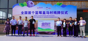 ȫ���ׂ�(g��)�{(l��n)ݮ�����R�塱�����������