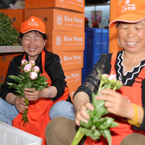 �����r��һ�����r�������R3����10�����ˎ��Ʒ