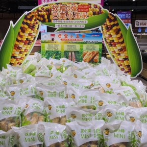 ȫ���ׂ�СŴ���׺��R����Ƴ���