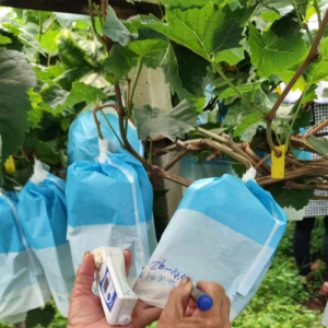 �𴮜y�������Ʈ��a(ch��n)����㳬��ꖹ�õ������3���N�����L��10��