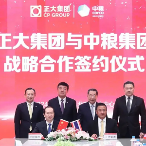 �мZ���F(tu��n)�c���󼯈F(tu��n)�����(zh��n)�Ժ����f(xi��)�h