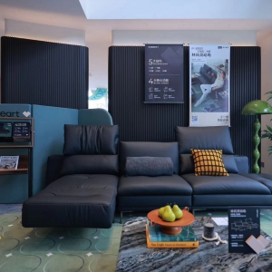 ׌��ƫ�ۡ������������ϼҾӔy����һ���l(f��)��ƫ��ϵ����Ʒ