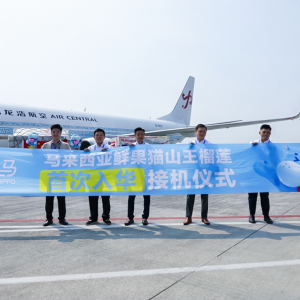 �R�������r��؈ɽ����ʽ���A���������ں��R�ϼ��_�u