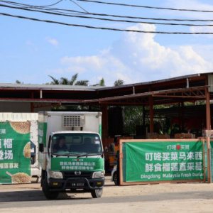 �����I���_��؈ɽ���A(y��)�����A(y��)Ӌ(j��)����9��29�յ�؛